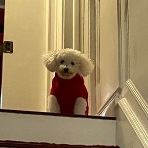 Meet your Posher, Tracy